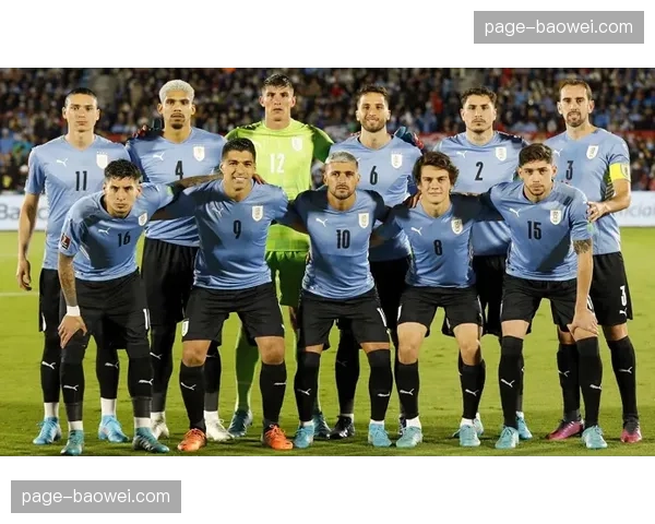 E组德国出线形势明朗 厄瓜多尔科特迪瓦争夺第二名额